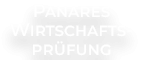 Panares WP